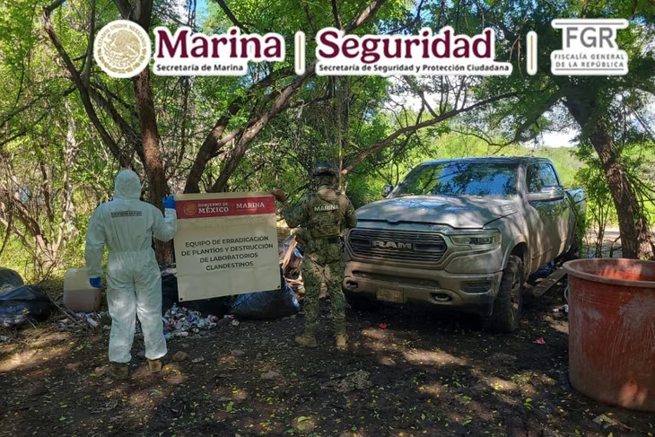 Inhabilitan laboratorio clandestino y aseguran precursores químicos en Sinaloa