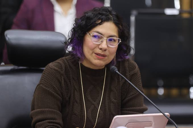 Consejera del INE Rita Bell López denuncia amenazas por no apoyar proyectos de Taddei