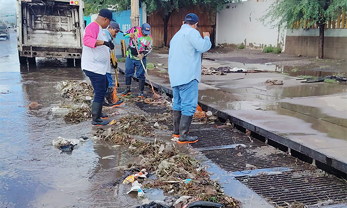 Trabajadores municipales limpian rejillas pluviales tras lluvia